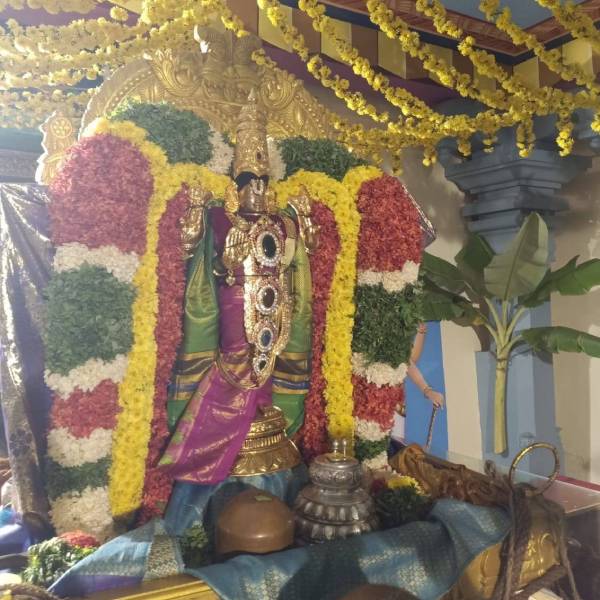  தண்டையார்பேட்டை சீனிவாச வரதராஜ பெருமாள் 