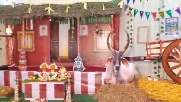  தாய்மாமன்கள்