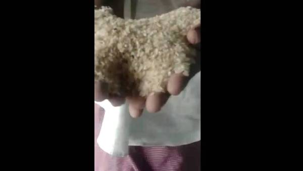 தரமற்ற ரேசன் அரிசி 