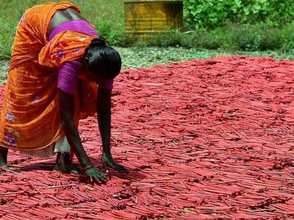 பட்டாசு நகரத்தின் மீது பாசம் பட்டாசு நகரத்தின் மீது பாசம்