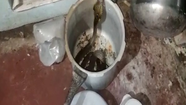 பெட்ரூம்