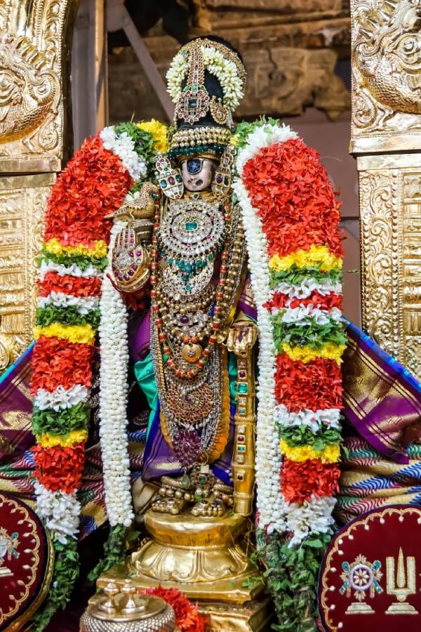 துளசி சாப்பிடலாம் 