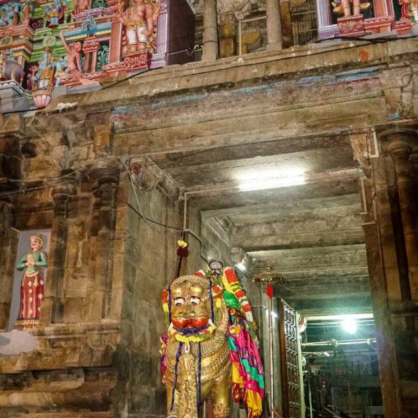 நம்பெருமாள் தரிசனம் 