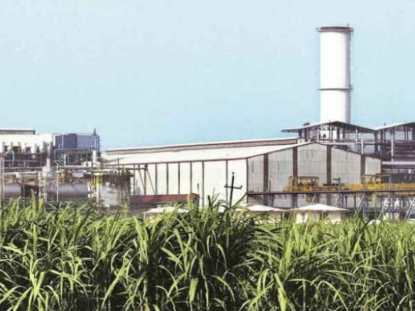  சர்க்கரை ஆலைகள் 