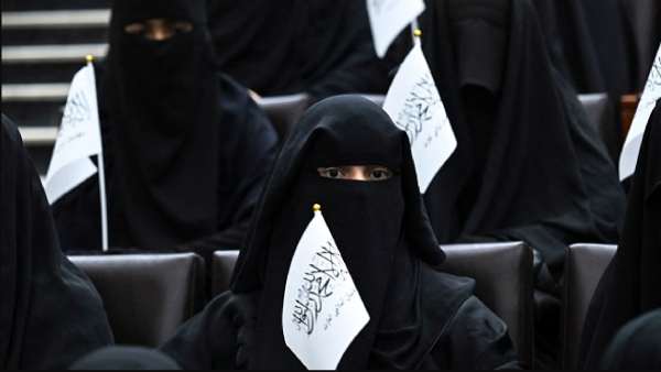 தாலிபான்கள் தாலிபான்கள்