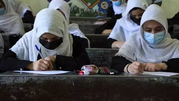 மாணவர்கள் மாணவர்கள்