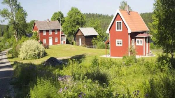  சென்சார்