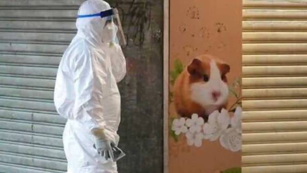 புதிய அலைகள் ஏற்படும் 