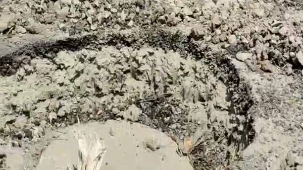 கொஞ்சம் கூட யோசிக்கவில்லை 
