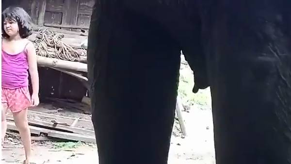 3 வயது ஹர்ஷிதா 