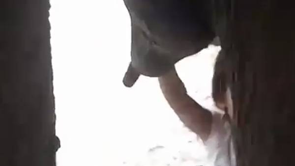 80 களில் வெளியான படம் 