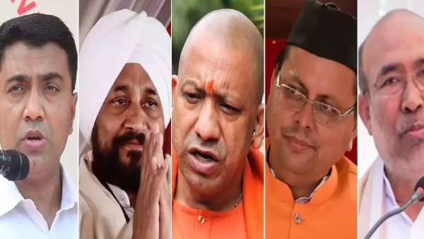 மெஜாரிட்டி 