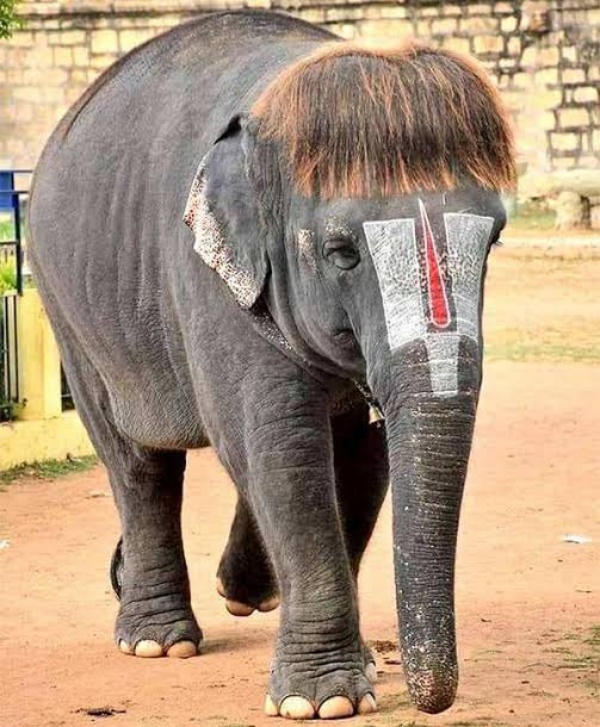 குழந்தை 