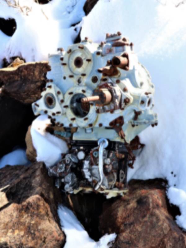 தந்தை இல்லாமல் வளர்ந்தேன் 