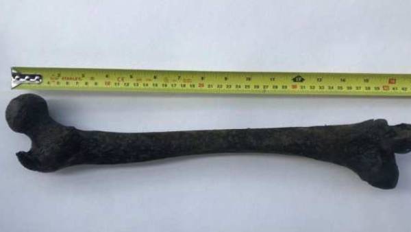 தேம்ஸ் நதி 