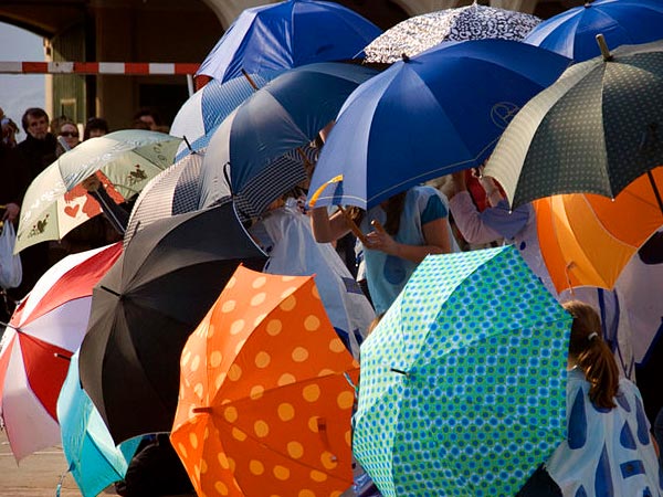 பேப்ரிக் 