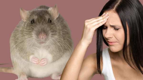 பேண்டமிக் 