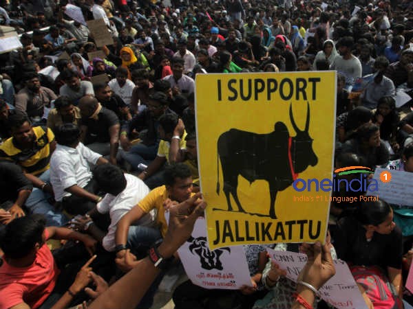 ஜல்லிகட்டு போராட்டம் 