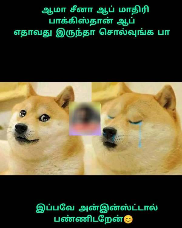 Funny memes collection on Chinese App ban