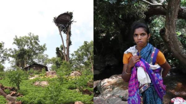 திருமூர்த்திமலை 