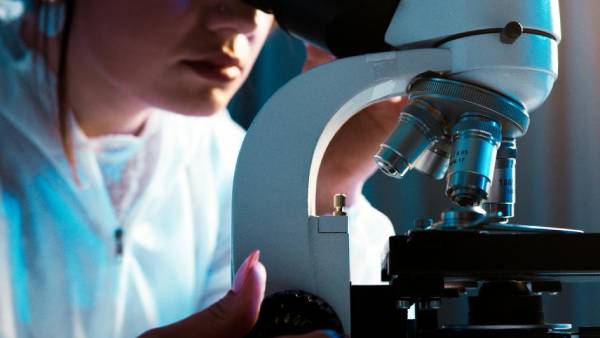  நெதர்லாந்து