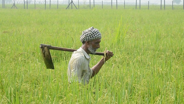 வேளாண் பல்கலைக்கழகம் 