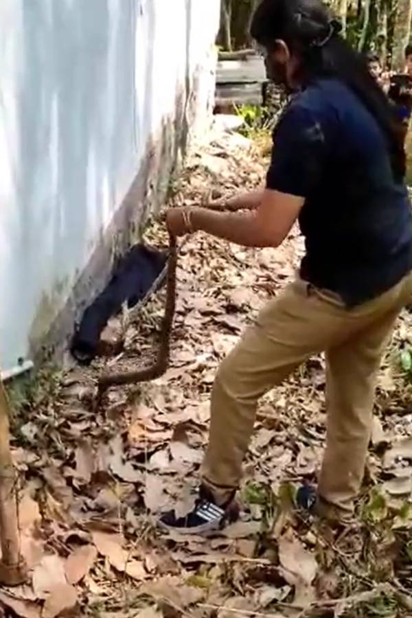 பெண்களின் பங்களிப்பு