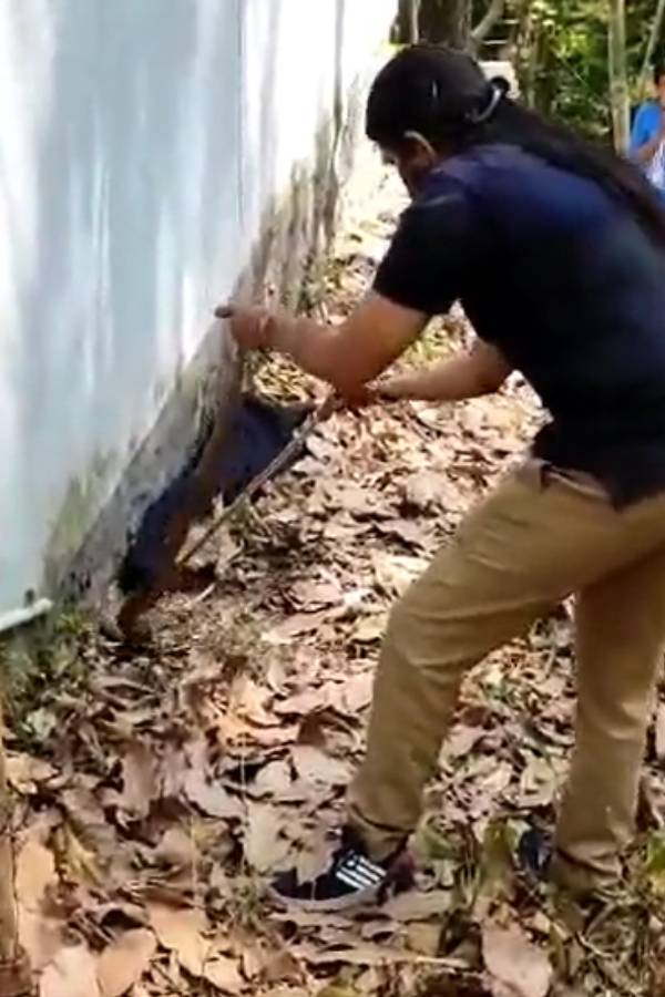 சிறப்பு பயிற்சி