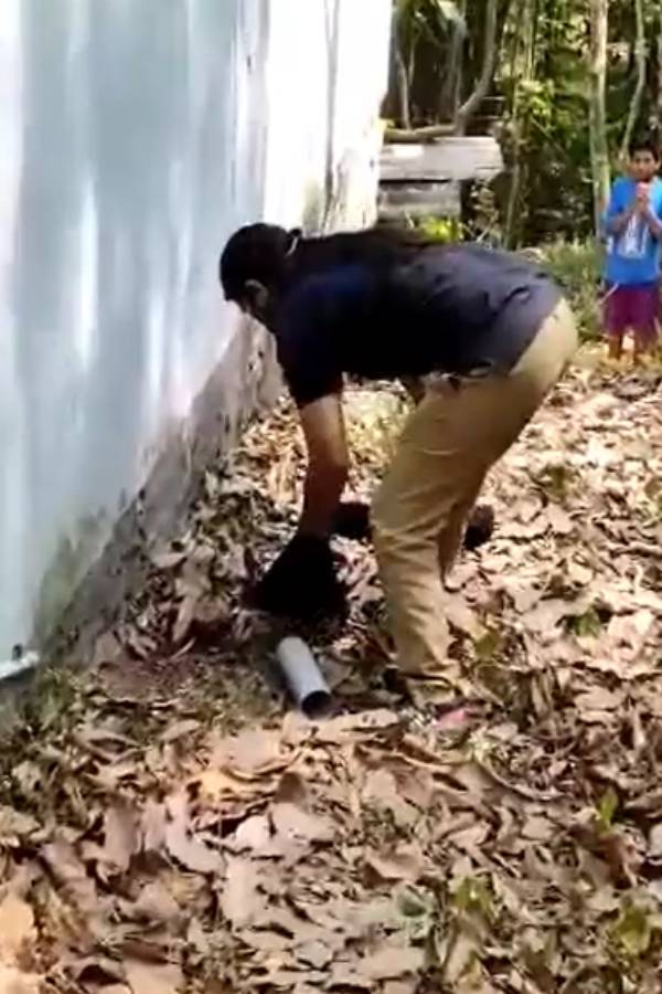 பாராட்டு