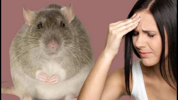 உயிரிழப்பு 