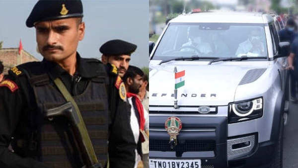 பிளாக் கேட்ஸ் 