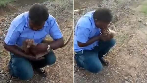 பேச்சு மூச்சில்லாத குரங்கு 