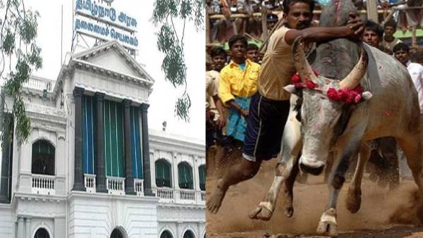 ஜல்லிக்கட்டு வழக்கு 