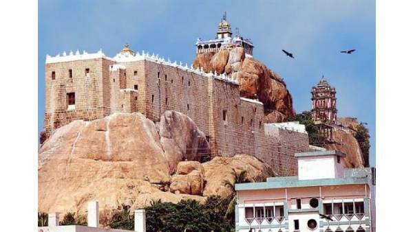 2011-ல் மேயர் 2011-ல் மேயர்