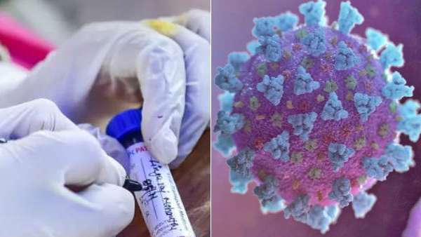 தடுப்பூசிகளின் செயல்திறன் தடுப்பூசிகளின் செயல்திறன்