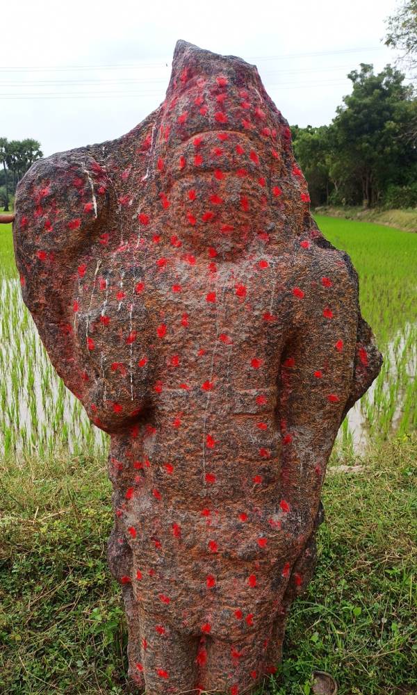 Pallava dynastys inscription found in Gingee 