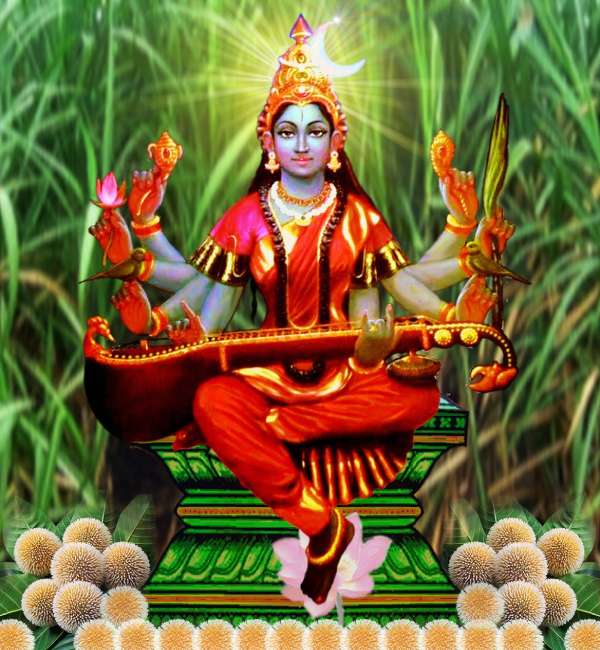 Raja matangi who gives Raja Yoga - If you worship your mother, you will seek royal office 
