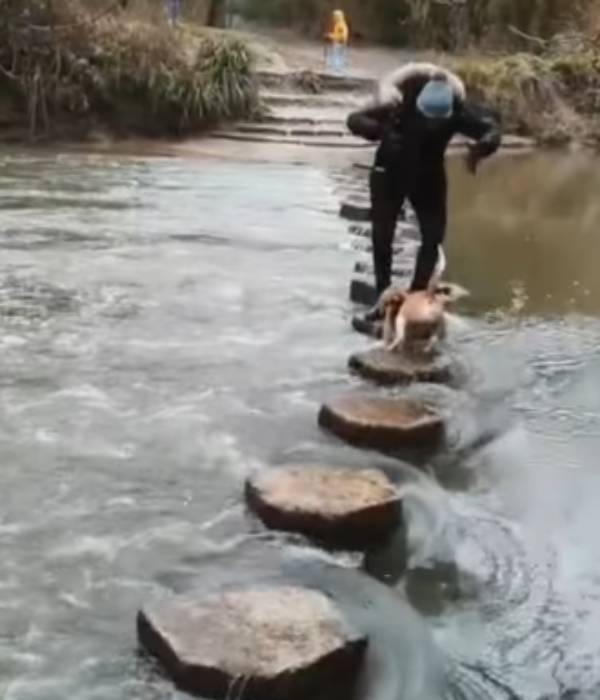 ஜஸ்ட் மிஸ்ட்