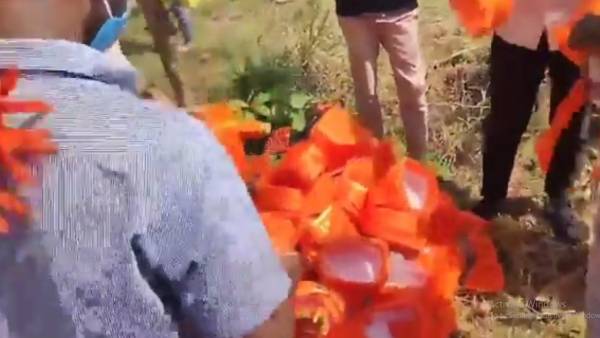 காவி துண்டு 