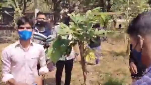 தொப்பிகள் 