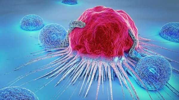 கேன்சர் அறிக்கை 