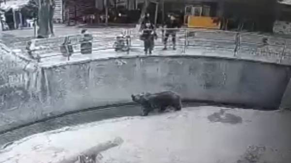 காப்பாற்றிய ஊழியர்கள் 