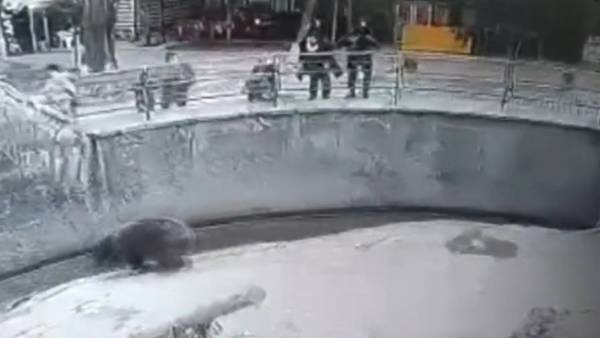 ஏன் இப்படி செய்தார்? 