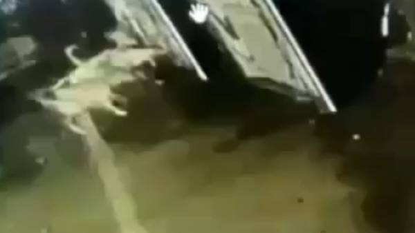 சிசிடிவி காட்சிகள் 