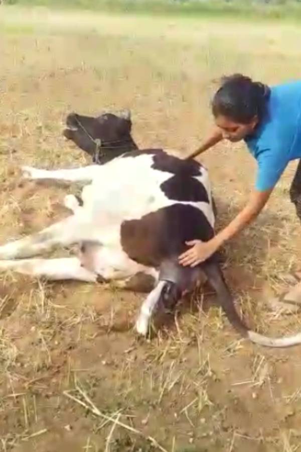 பட்டதாரி பெண் பட்டதாரி பெண்