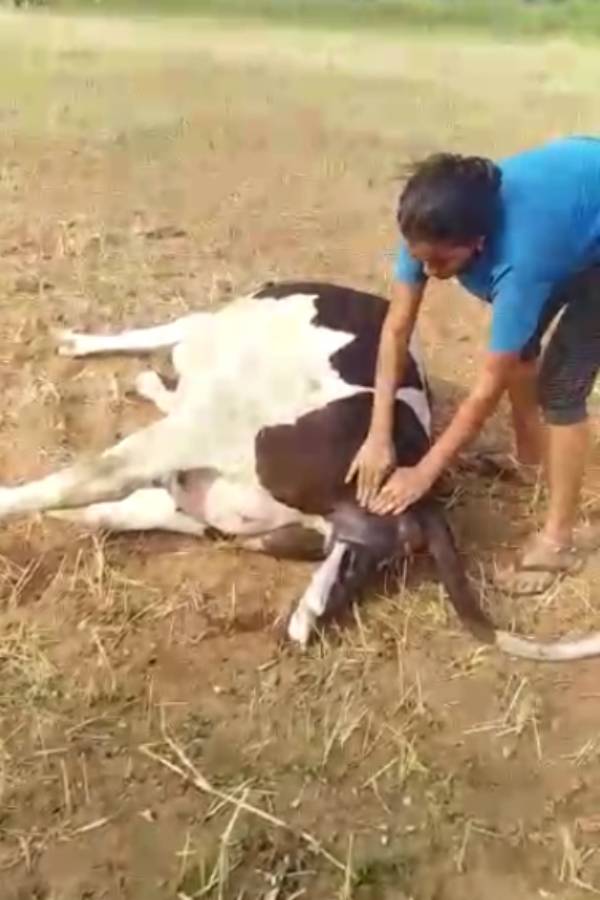 பெண்ணுக்கு பாராட்டு பெண்ணுக்கு பாராட்டு