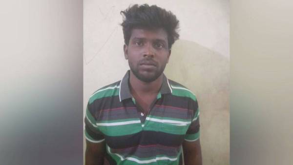 ரசிகர்கள் கைது 