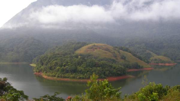  வனத்துறை 