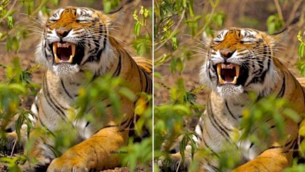 அரிதான புகைப்படங்கள் அரிதான புகைப்படங்கள்