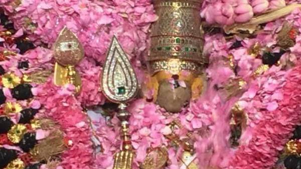  சிவப்பு, வெள்ளை, பச்சை சாத்தி 